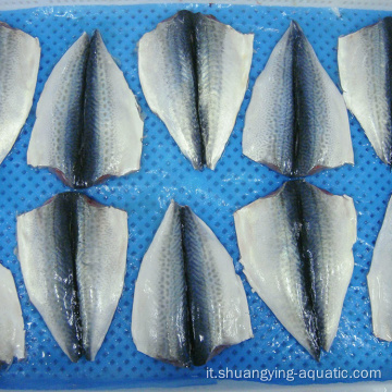 Flappeggi di mackerel congelati OEM Dimensione 150-200 200-300G